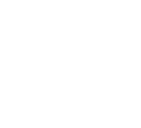 Ultra Music Festival