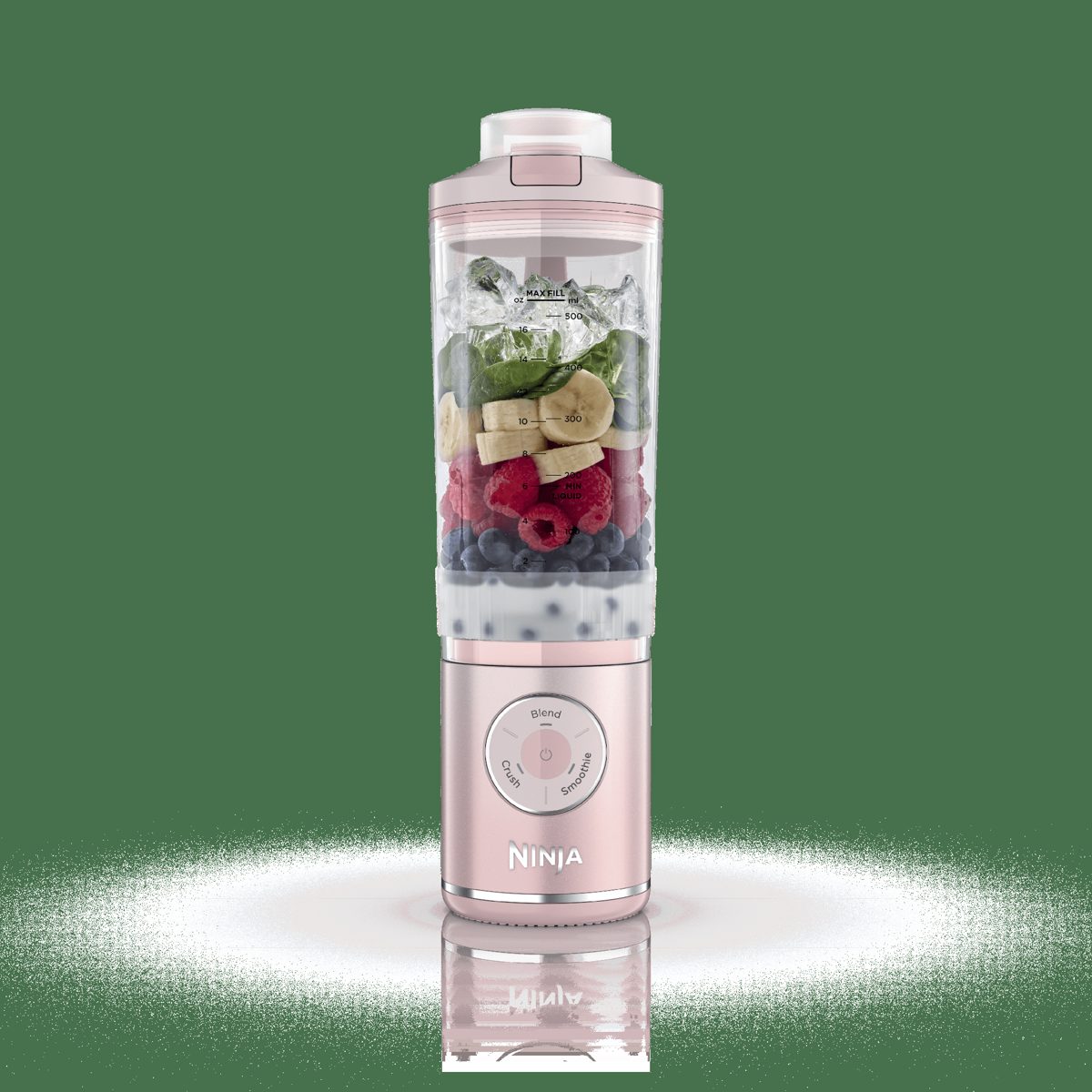 Ninja Blast Max Blender